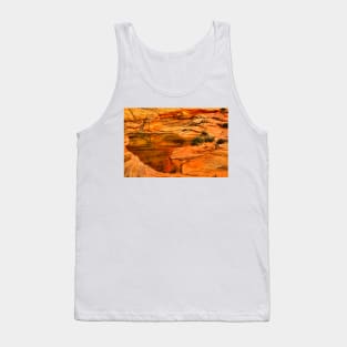 Arizona Desert Oasis Tank Top